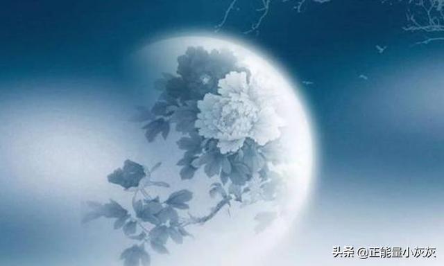 烟波江南的全部小说_烟波江南小说下载