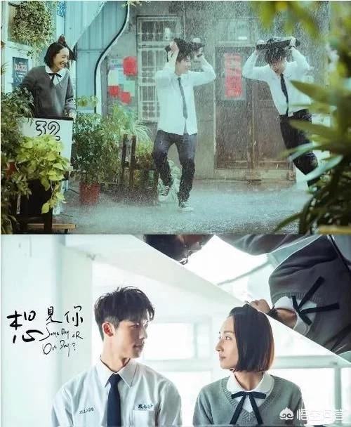 目前好看的电视剧有哪些（目前好看的电视连续剧）